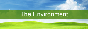Environmental Courses